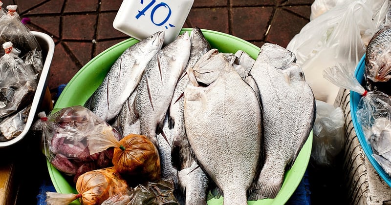 Les prix des fruits de mer flambent : comment s’approvisionner sans se ruiner